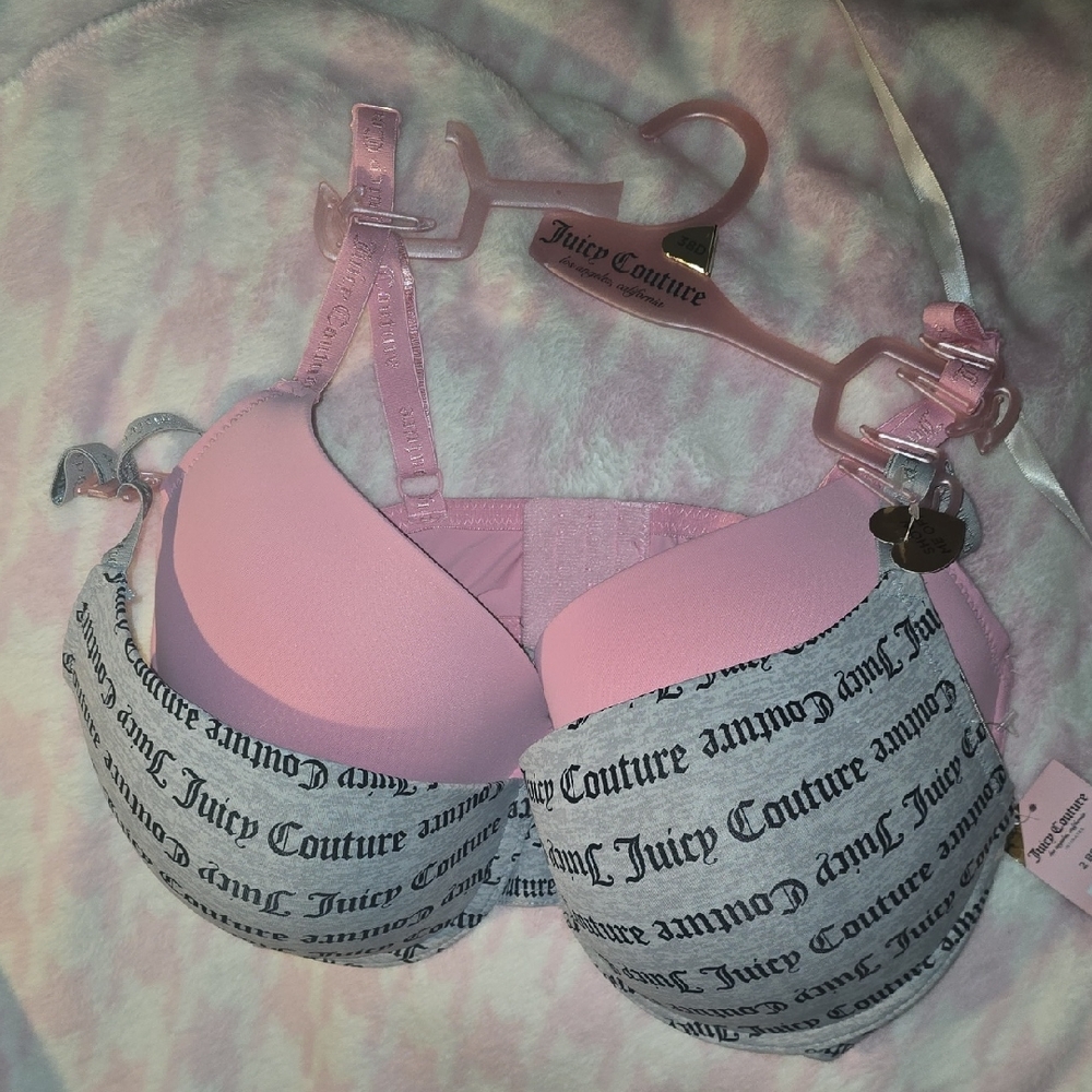 Juicy Couture Pink and Gray Bra